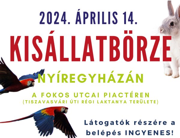  Hétvégén újra Kisállatbörzét tartanak Nyíregyházán!