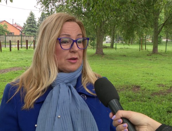 Tovább bővülnek a város állatbarát szolgáltatásai