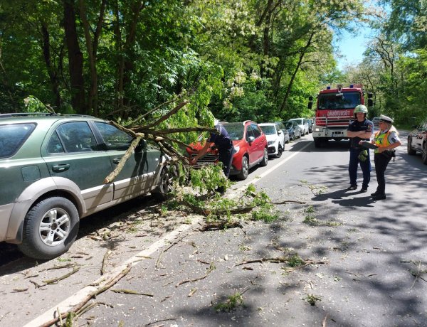 Csúnya meglepetés várta a parkoló autó tulajdonosát