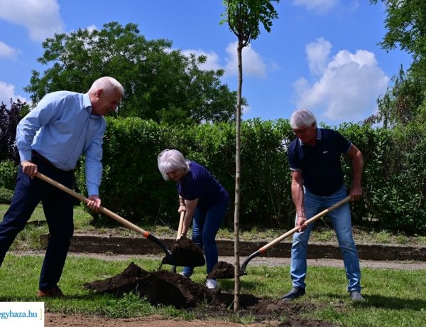 Polgármesteri fásítási program – Ezúttal a Butykai Közösségi Ház és Szabadidőközpont területén