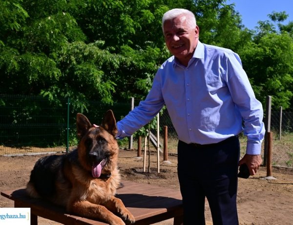 Szerezzen önfeledt örömöket a kutyájának: a Fürdő utcán készül a város legújabb kutyafuttatója!