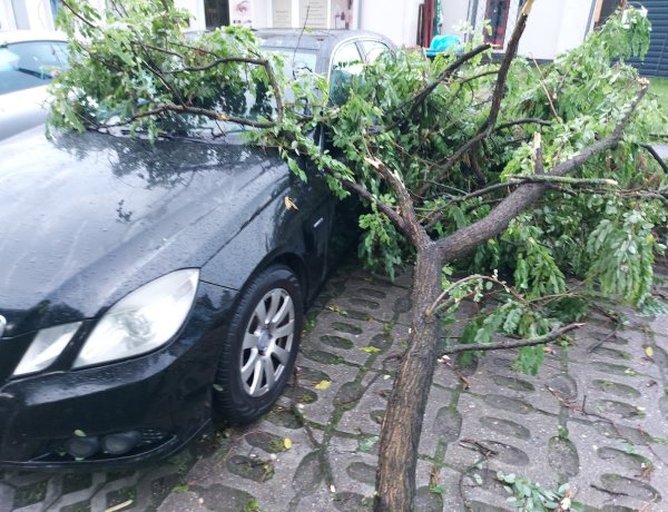 Fergeteges volt a hajnali vihar, még mindig munkát ad a nyomában maradt viharkár