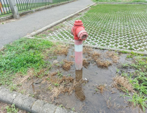 Nekihajtott a tűzcsapnak