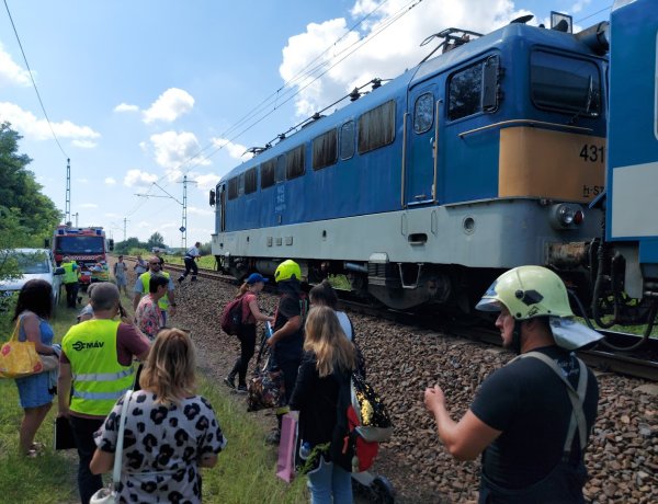 Vajon mit keresett a sínek mellett? 