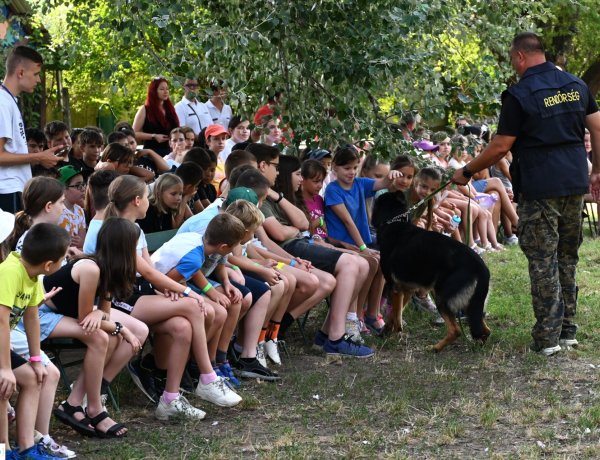 Közlekedésbiztonsági szaktábor Nyíregyházán – Rendőrkutyás bemutatóval indult a hét