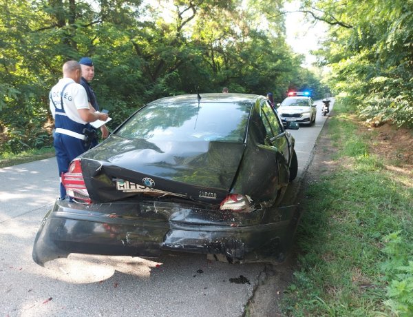 Nem volt szerencsés találkozó!