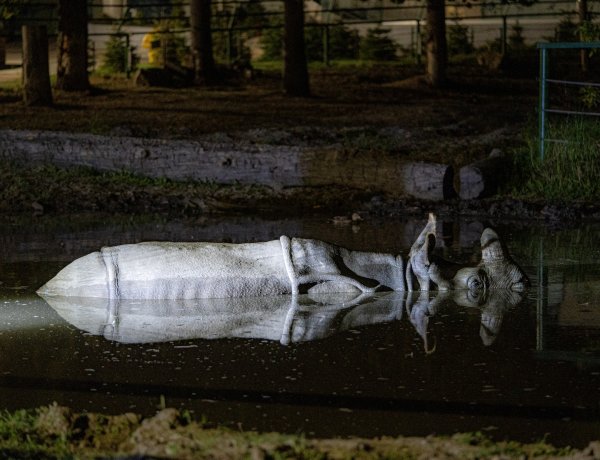 Állatkertek Éjszakája: idén előszőr a Nyíregyházi Állatpark is csatlakozik az éjjeli kalandhoz!