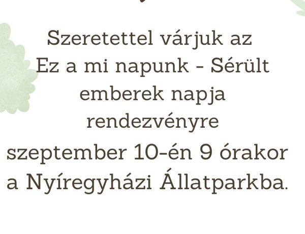 „Ez a mi napunk” – Nyíregyházán szeptember 10-én rendezik Sérült Emberek Napját 