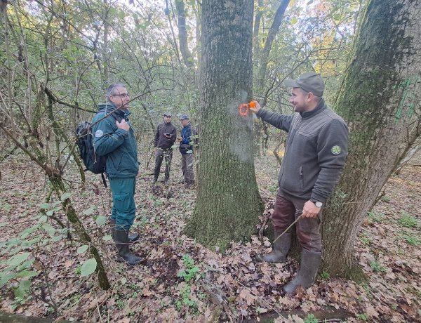 Már a jövő évi munkát tervezik az erdészek 