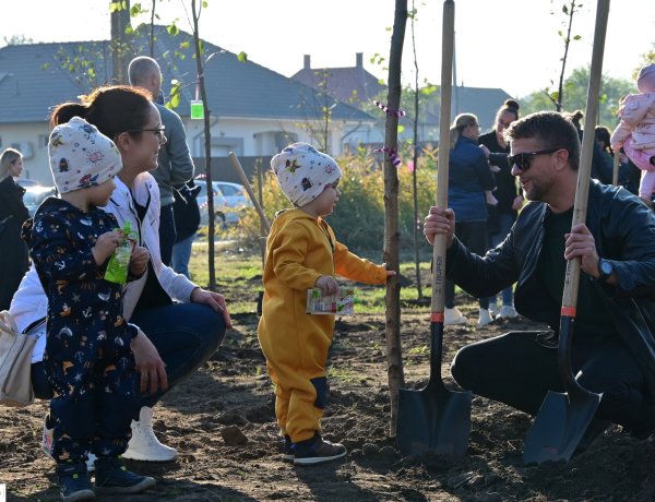 Újéletfa akció – 46 facsemetét ültettek el a kertvárosi ligetben