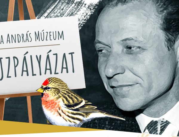 Zsezsemadár - Rajzpályázatot indít a Jósa András Múzeum Váci születésnek 100. évfordulója alkalmából