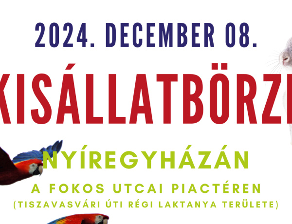 Úgy számoljon, hogy december 7-e munkanap - A piacok nyitva lesznek!