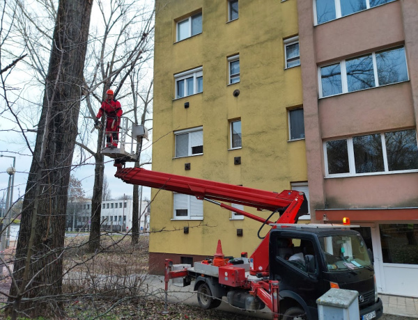 Hétfőn, ne tessék a fa alá állni a Krúdy Gyula utcában!