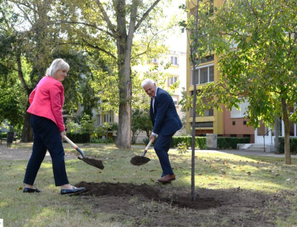 Segítse Nyíregyháza további zöldterületi fejlesztését a lakossági kérdőív kitöltésével!