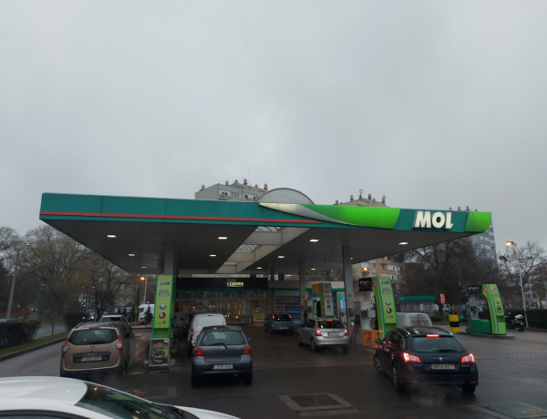 Kóbor, megrémült állatok - Ha máskép nem megy, segít a chipleolvasó