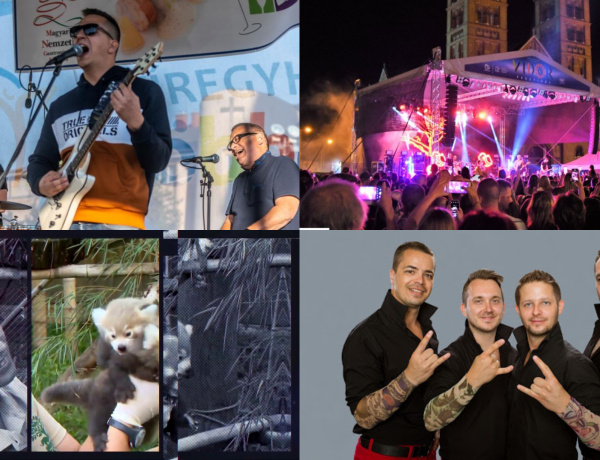 Boldog új évet kívánunk! - Így búcsúzik a Nyíregyházi Televízió 2024-től