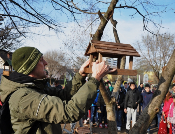 Hova tűntek a madarak, miért üres sok etető?