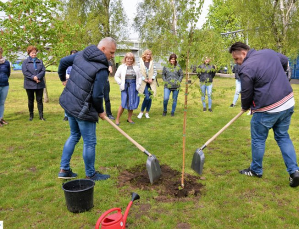 „Ültess fát! Hogyha mást nem, lombot ád.”