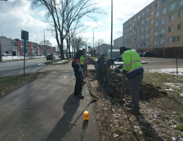 Óvatosan kell biciklizni a Törzs utcán                                           