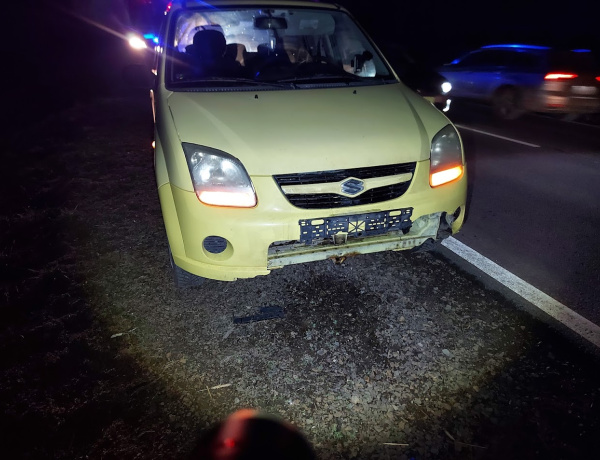 Ember nem sérült, de az őz elpusztult az ütközésben