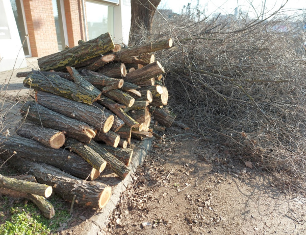 Faápolásra készül a NYÍRVV a Bethlen Gábor utcában - Mutatjuk a részleteket!