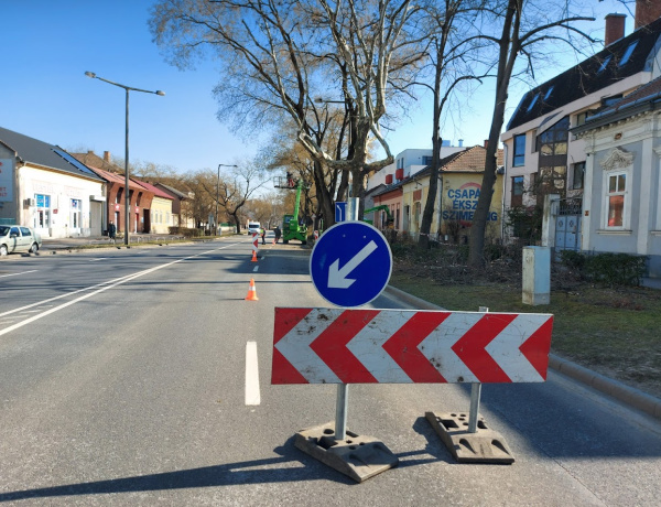 Faápolás kezdődött a Bethlen Gábor utcán                       