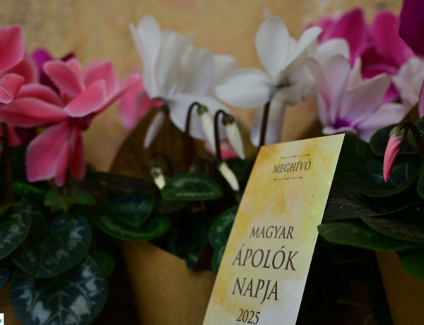 Magyar ápolók napja – 25 ápoló részesült elismerésben 