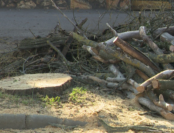 Faápolás – Több helyen is zajlanak a munkálatok Nyíregyházán