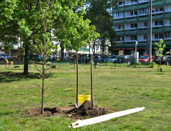  Városi biológiai sokféleség:  lehet természet a betonrengetegben