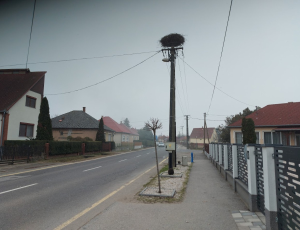 Jöhetnek a gólyák! - Felülvizsgálták a fészkeket