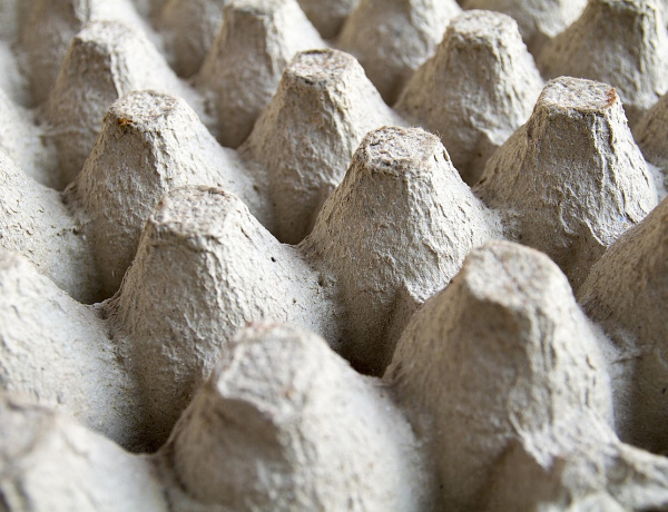 Rekordra készül a Szabó Lőrinc iskola: tízezer tojástartóból készítenének piramist!