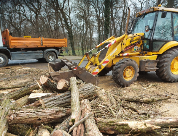 A Skanzen utcában is jártak a "hajszobrászok"