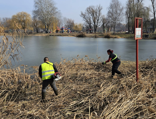 Nádvágás – Március végéig idén is megszépül a Bujtosi-tó környéke