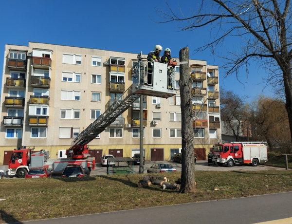 Fogadjunk, hogy erre nem számított! - Mutatjuk mit történik az Árpád utcán
