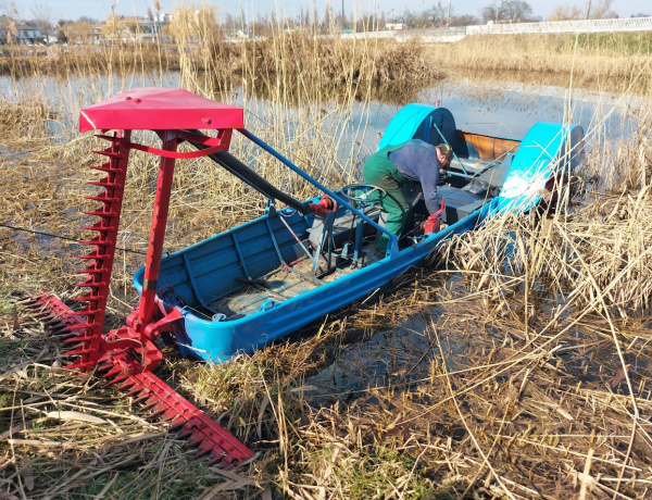 Már géppel is vágják a nádat a Bujtoson                    