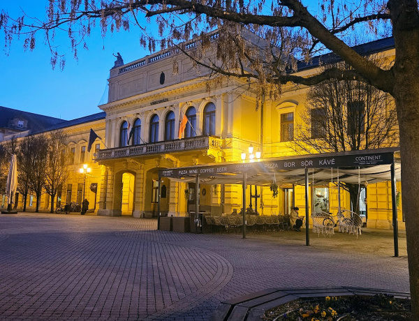 Ezeket az ingatlanokat adja bérbe az önkormányzat!