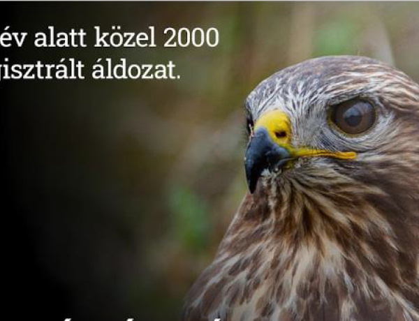 20 év alatt 2000 áldozat - A megmérgezett állatok már hallgatnak
