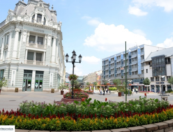 A számok magukért beszélnek: a Nyíregyházi Foglalkoztatási Fórum eredményei