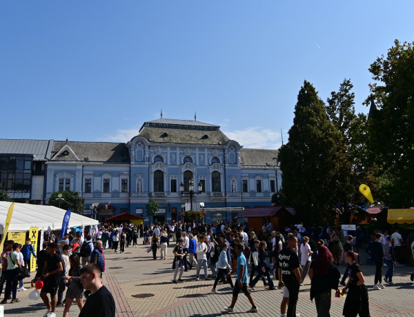 Hogyan segítjük a fiatalokat a pályaválasztásban?