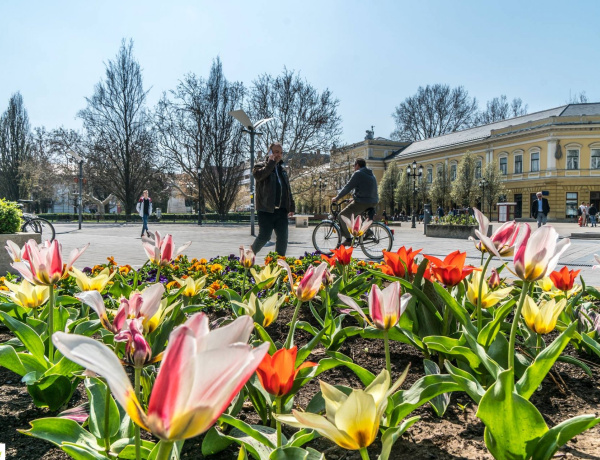 Miért fontos a vállalkozások és az oktatás kapcsolata?