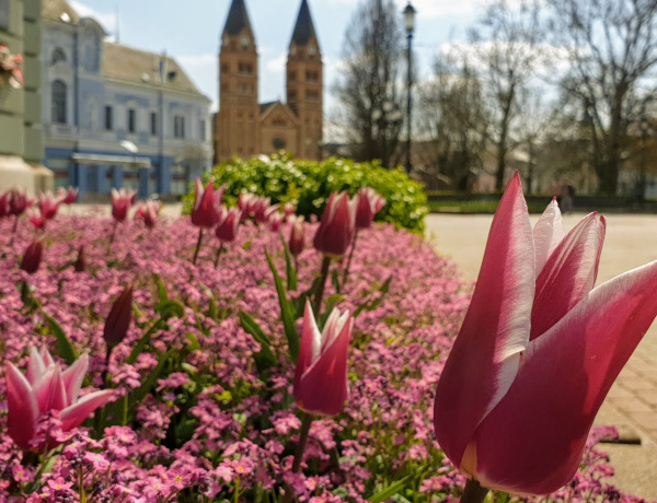 Jön a tavaszi zsongás! - Áprilisban ingyenes koncertek Nyíregyházán!