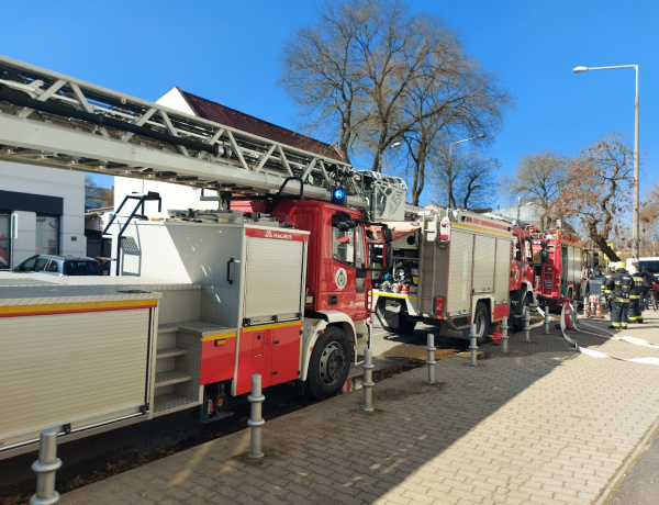 Csak gyakorlatoztak - Nagy erőkkel vonultak a bírósághoz