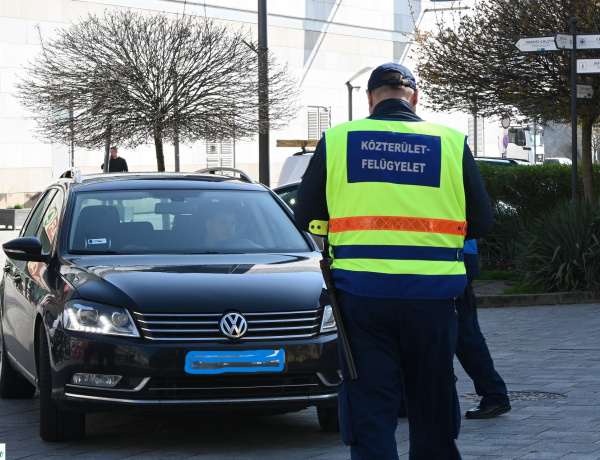 210 sofőrt jelentettek fel - Akciózott a közterület-felügyelet