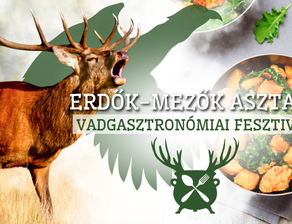 Nyíregyháza újra vadul! - Április végén a Kossuth téren rendezik meg a második vadgasztronómiai fesztivált