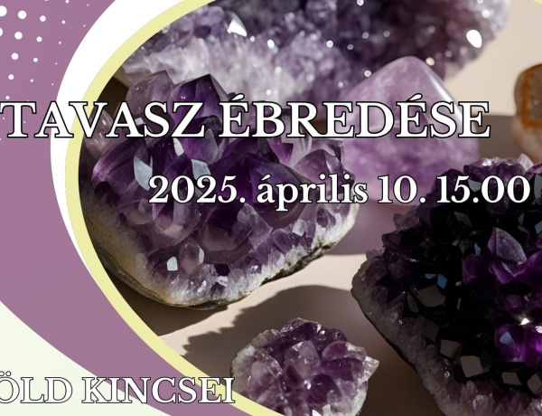 Így ébred a tavasz a Városmajoriban                       