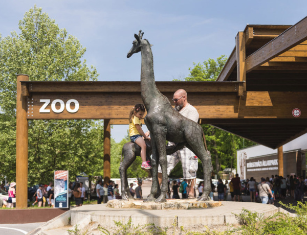 Így kívánják enyhíteni a zsúfoltságot Sóstón az ünnepek alatt