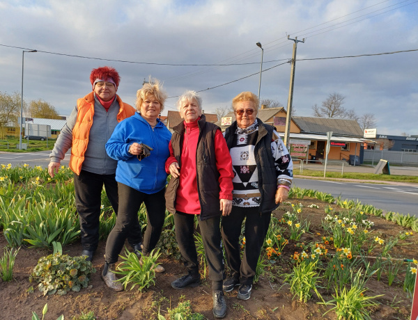 Csupa virág a körforgalom - Az Orosért Közéleti Egyesület gondozza