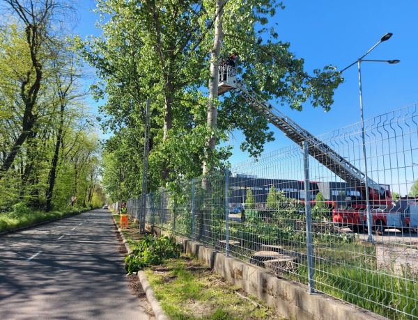 Nagy munkába kezdtek a Tó utcán                          