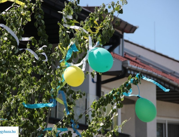 Szedd magad a májusfát! – Idén is várja a legényeket a Nyíregyházi Erdészet