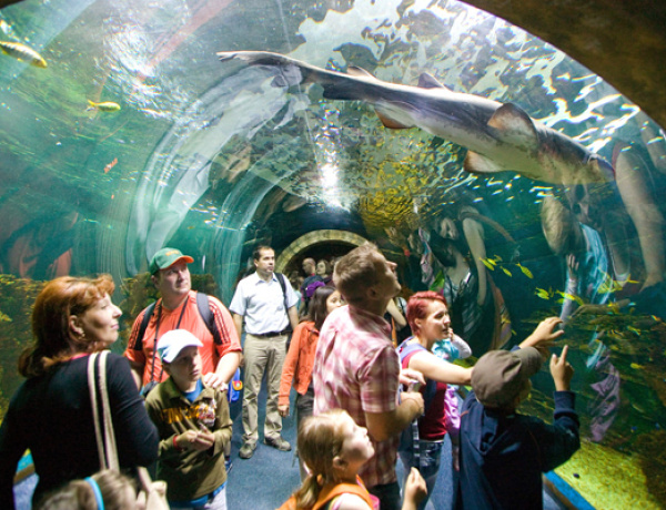 Közel hétszázezren pihentek a tavaszi szünetben – Nyíregyháza is vonzó helyszínnek bizonyult